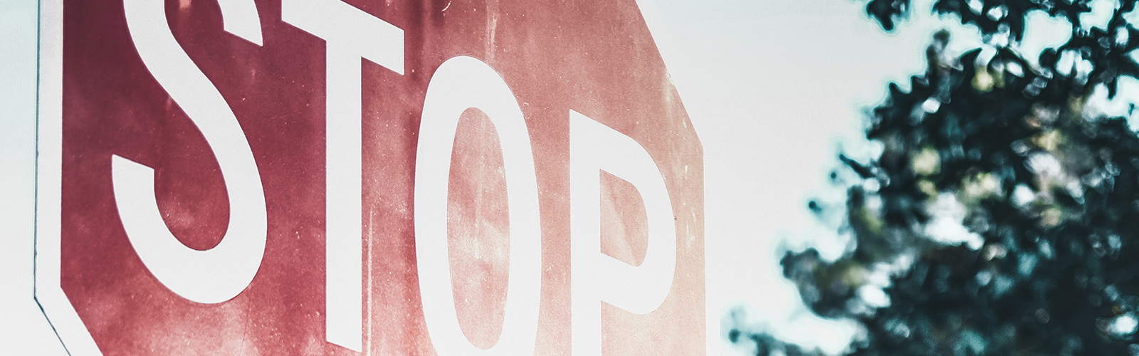 Umbraco.Web.PublishedCache.NuCache.Property