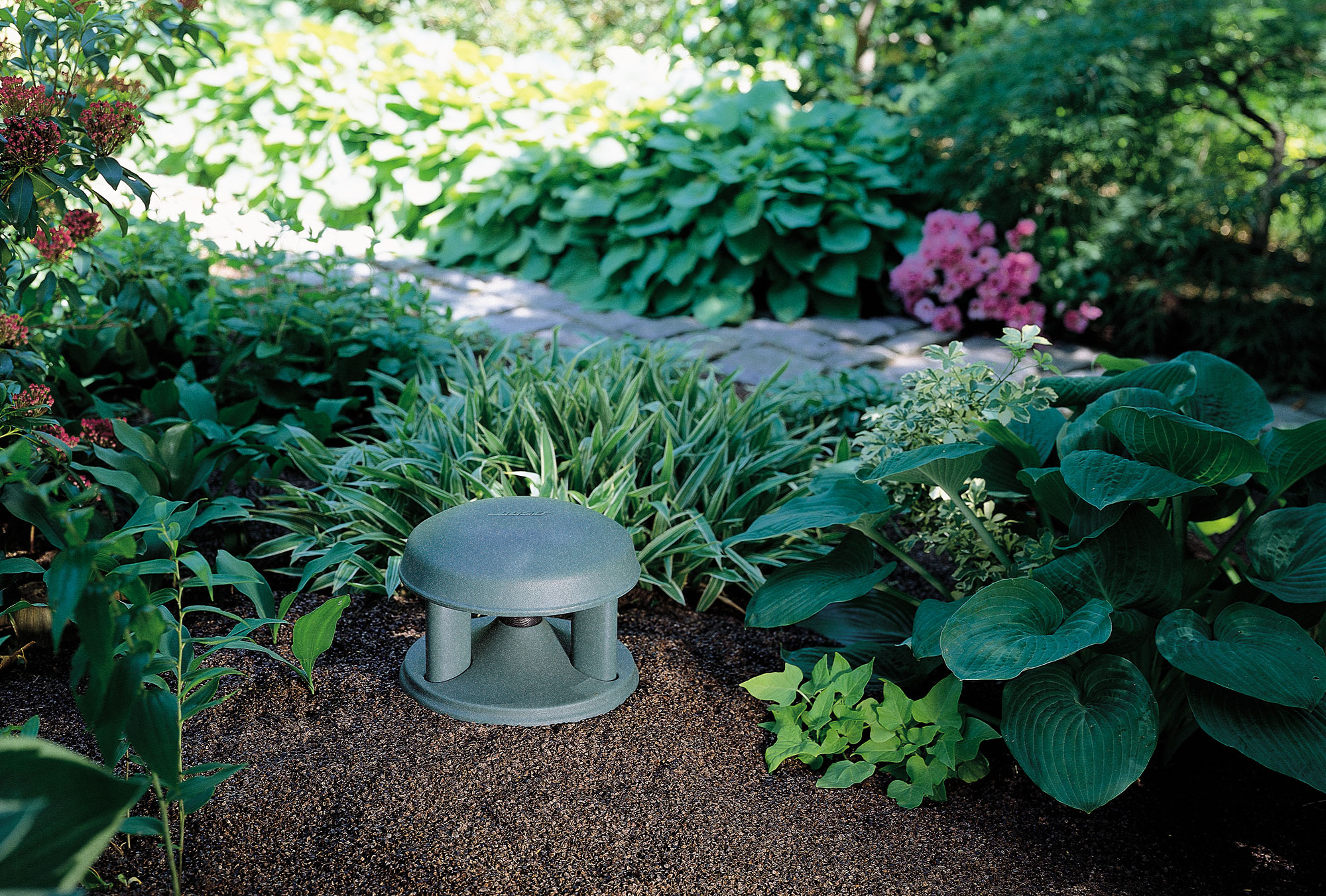 Umbraco.Web.PublishedCache.NuCache.Property